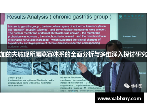 加的夫城现所属联赛体系的全面分析与多维深入探讨研究