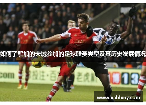 如何了解加的夫城参加的足球联赛类型及其历史发展情况